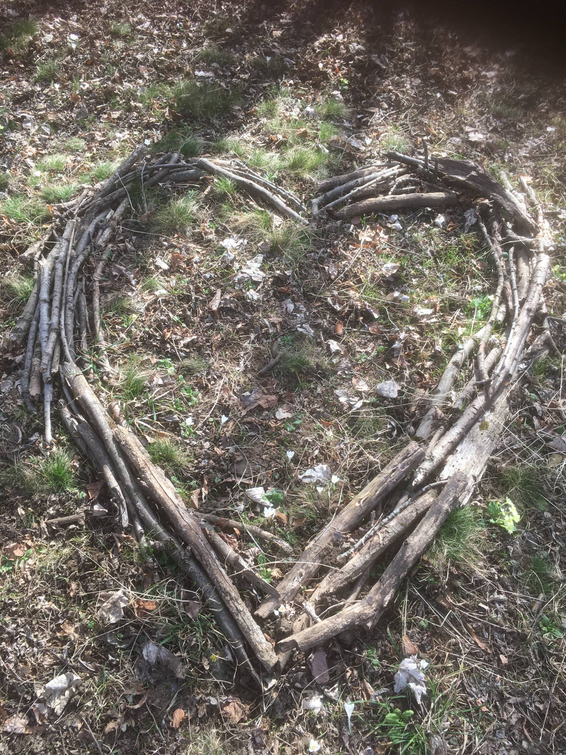 Bagni di Foresta, Forest Bathing Ticino