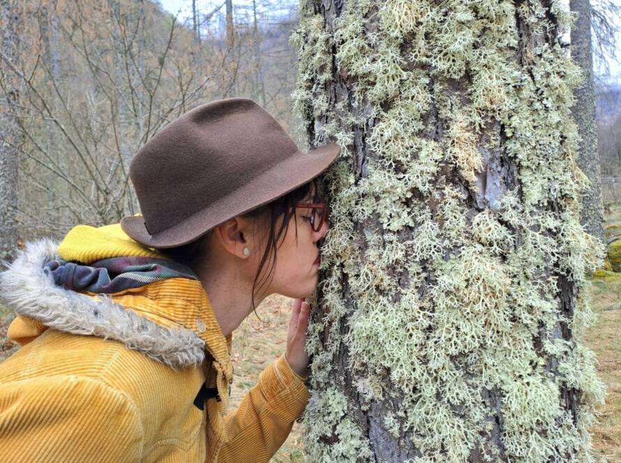 Connessione con il bosco